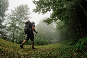 Kocaeli ve Çevresinde Trekking Rotaları doğaseverlere huzur, yeşil parkurlar ve eşsiz manzaralar sunar. Macera dolu rotalar seni bekliyor!